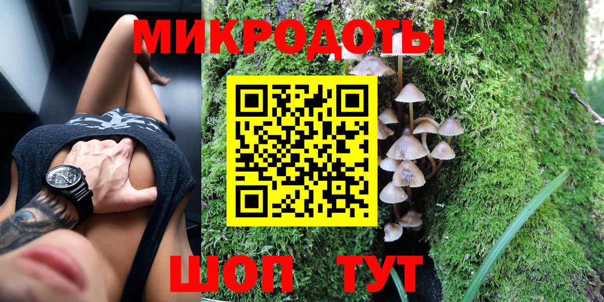 Псилоцибиновые грибы Psilocybe Аргун